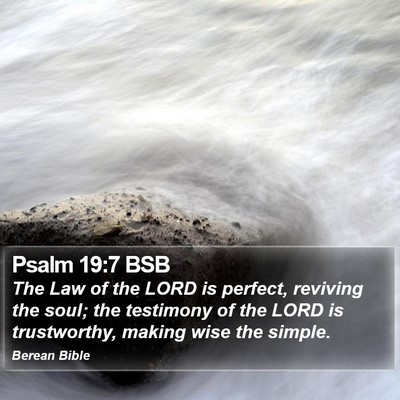 Psalm 19:7 BSB Bible Verse Image