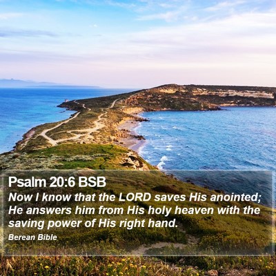 Psalm 20:6 BSB Bible Verse Image