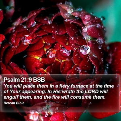 Psalm 21:9 BSB Bible Verse Image