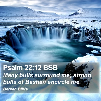 Psalm 22:12 BSB Bible Verse Image