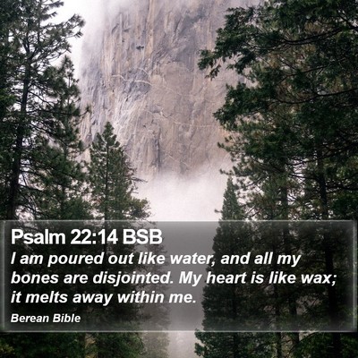 Psalm 22:14 BSB Bible Verse Image