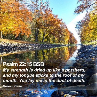Psalm 22:15 BSB Bible Verse Image