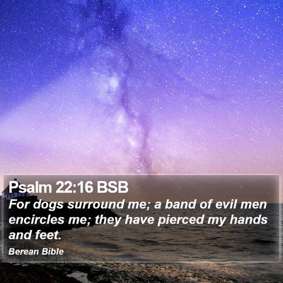 Psalm 22:16 BSB Bible Verse Image