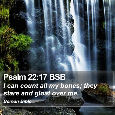 Psalm 22:17 BSB Bible Verse Image