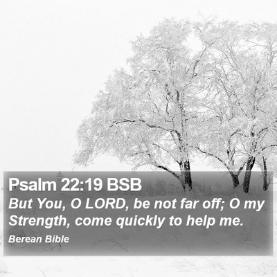 Psalm 22:19 BSB Bible Verse Image