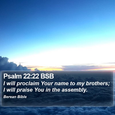 Psalm 22:22 BSB Bible Verse Image