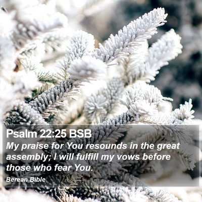 Psalm 22:25 BSB Bible Verse Image