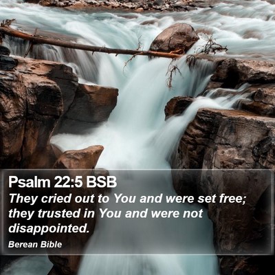Psalm 22:5 BSB Bible Verse Image