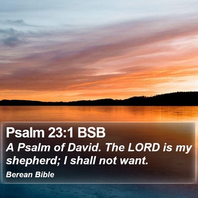 Psalm 23:1 BSB Bible Verse Image