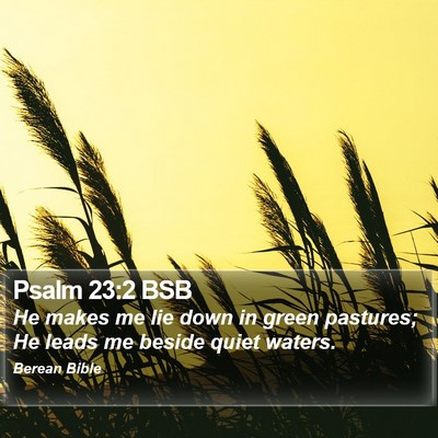 Psalm 23:2 BSB Bible Verse Image