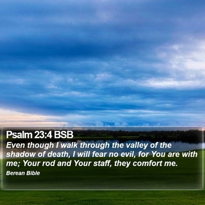 Psalm 23:4 BSB Bible Verse Image