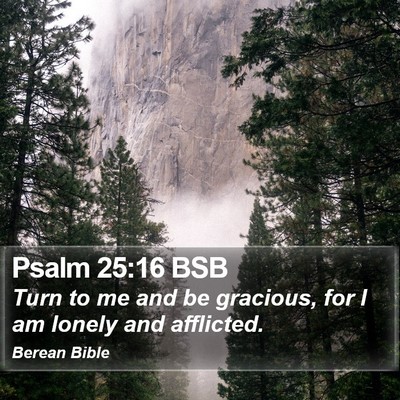 Psalm 25:16 BSB Bible Verse Image