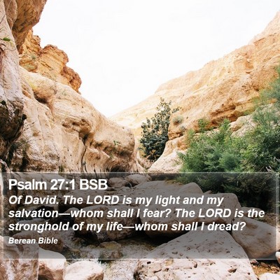 Psalm 27:1 BSB Bible Verse Image