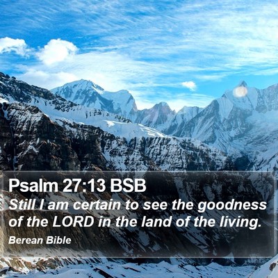Psalm 27:13 BSB Bible Verse Image