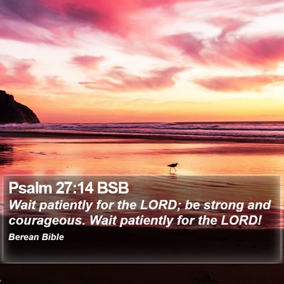 Psalm 27:14 BSB Bible Verse Image