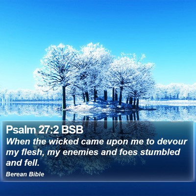 Psalm 27:2 BSB Bible Verse Image