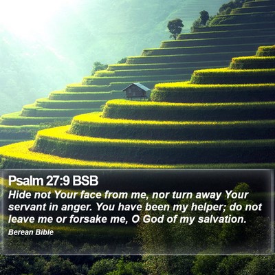 Psalm 27:9 BSB Bible Verse Image