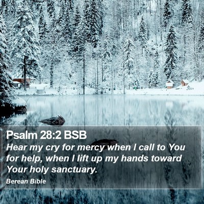 Psalm 28:2 BSB Bible Verse Image