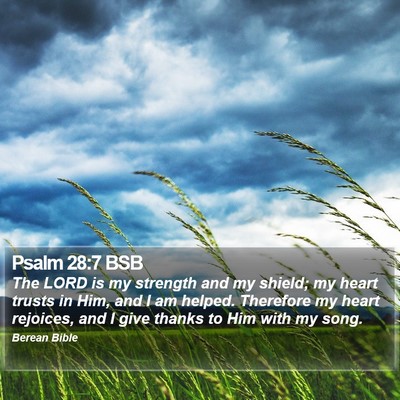 Psalm 28:7 BSB Bible Verse Image