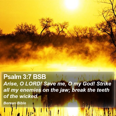 Psalm 3:7 BSB Bible Verse Image