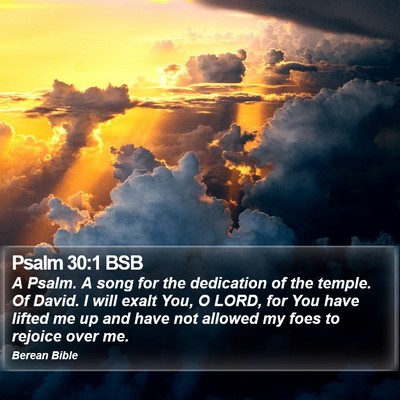 Psalm 30:1 BSB Bible Verse Image