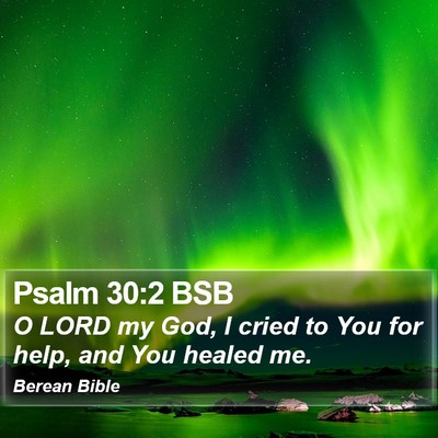 Psalm 30:2 BSB Bible Verse Image