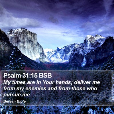 Psalm 31:15 BSB Bible Verse Image