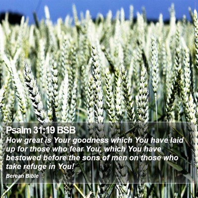 Psalm 31:19 BSB Bible Verse Image