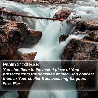 Psalm 31:20 BSB Bible Verse Image