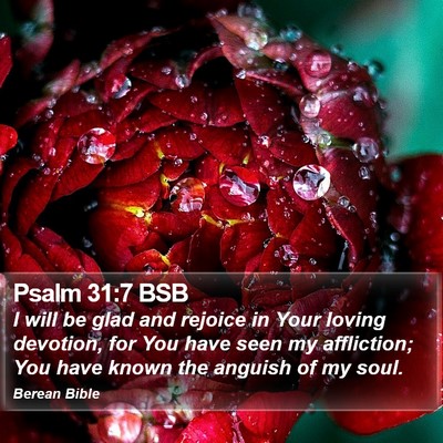 Psalm 31:7 BSB Bible Verse Image