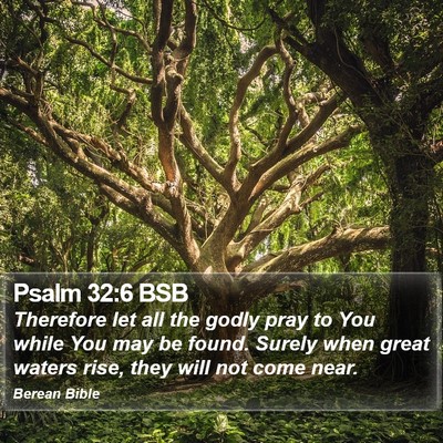 Psalm 32:6 BSB Bible Verse Image