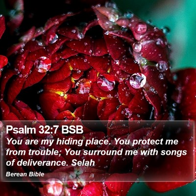 Psalm 32:7 BSB Bible Verse Image