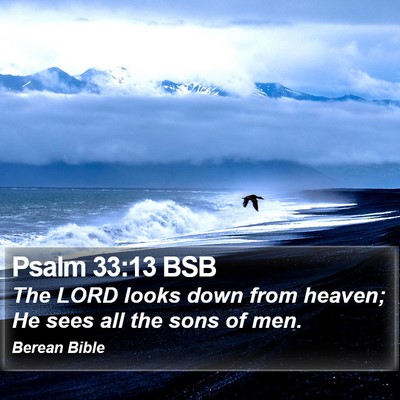 Psalm 33:13 BSB Bible Verse Image
