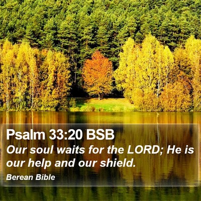Psalm 33:20 BSB Bible Verse Image