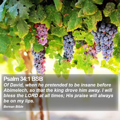 Psalm 34:1 BSB Bible Verse Image