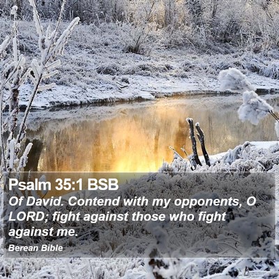 Psalm 35:1 BSB Bible Verse Image