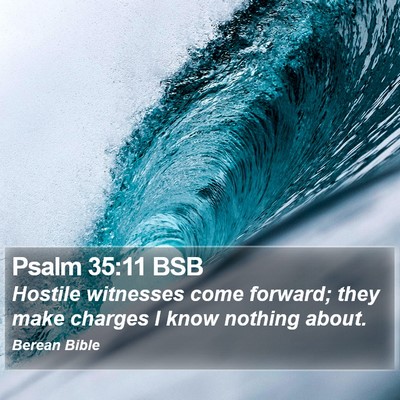 Psalm 35:11 BSB Bible Verse Image