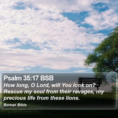 Psalm 35:17 BSB Bible Verse Image