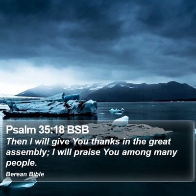 Psalm 35:18 BSB Bible Verse Image