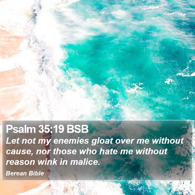 Psalm 35:19 BSB Bible Verse Image