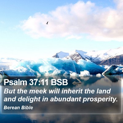 Psalm 37:11 BSB Bible Verse Image