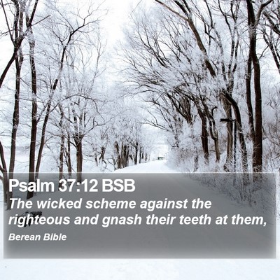 Psalm 37:12 BSB Bible Verse Image