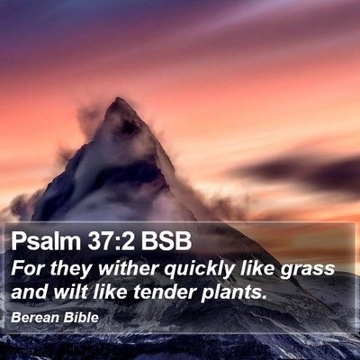 Psalm 37:2 BSB Bible Verse Image
