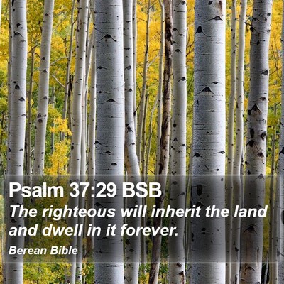 Psalm 37:29 BSB Bible Verse Image