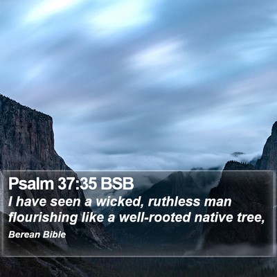 Psalm 37:35 BSB Bible Verse Image