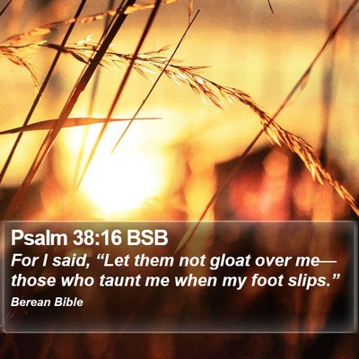 Psalm 38:16 BSB Bible Verse Image