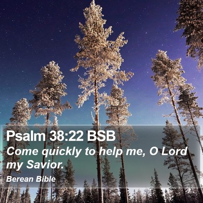 Psalm 38:22 BSB Bible Verse Image