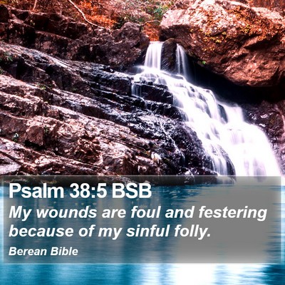 Psalm 38:5 BSB Bible Verse Image