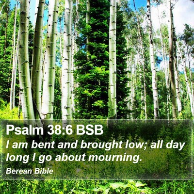 Psalm 38:6 BSB Bible Verse Image