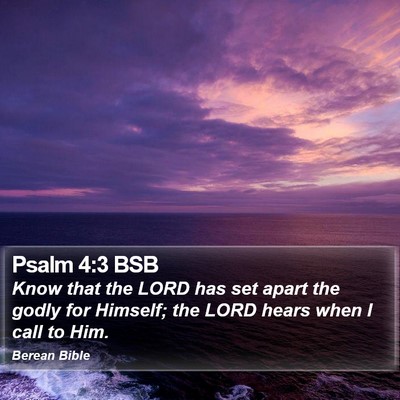 Psalm 4:3 BSB Bible Verse Image